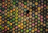 An assortment of spray paint cans arranged closely together, viewed from above. Each can is topped with a nozzle, revealing a range of vibrant colors including green, yellow, orange, pink, and brown.