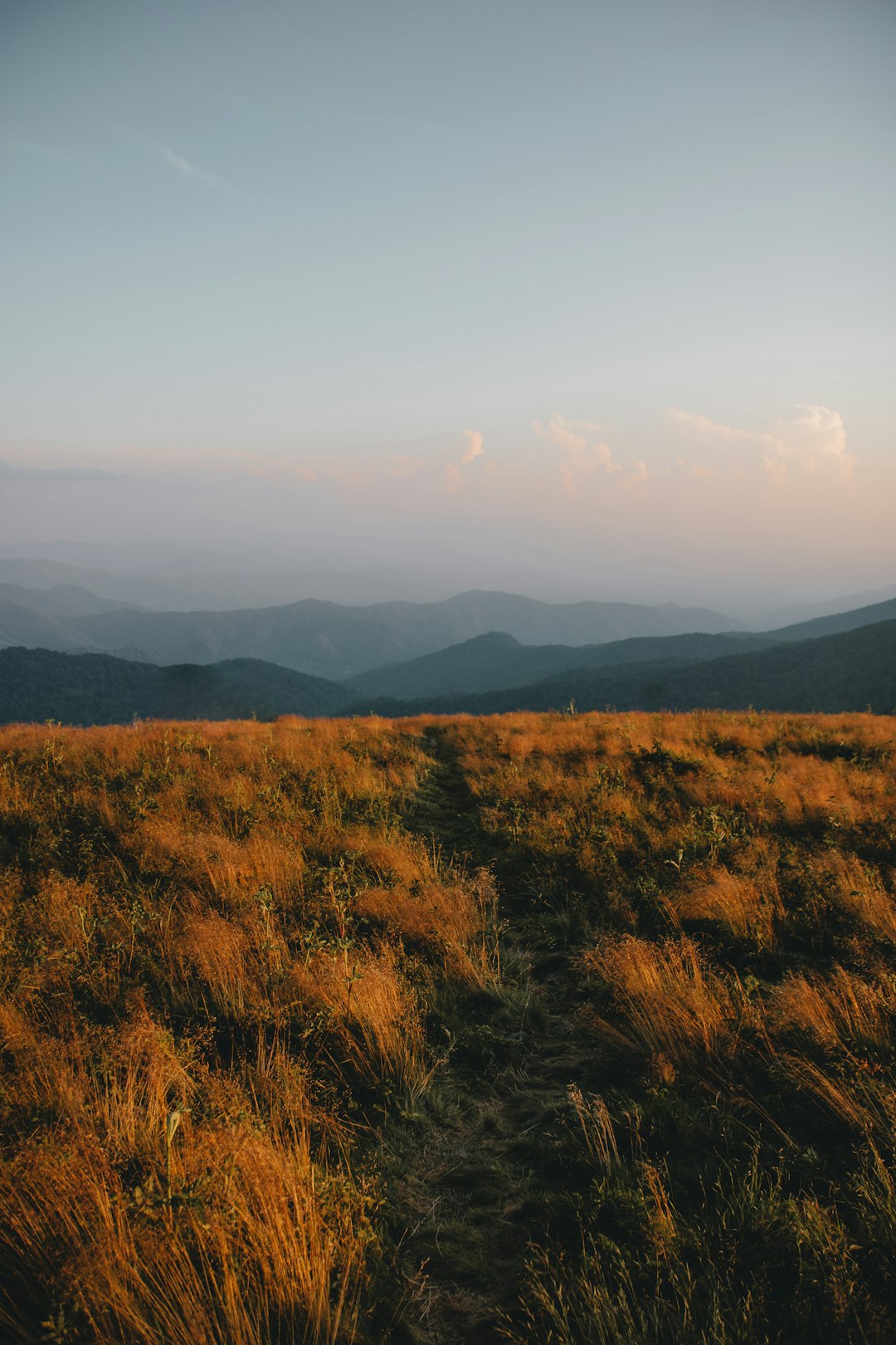 Tundra photo spot Roan Mountain United States