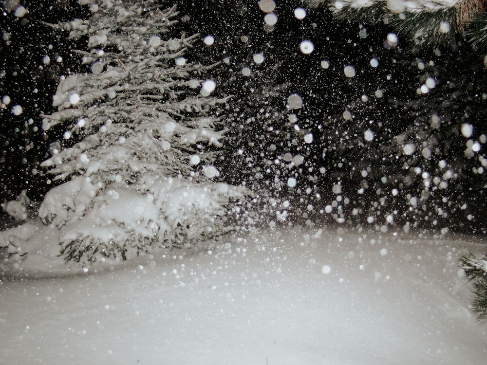 time lapse photo of snow