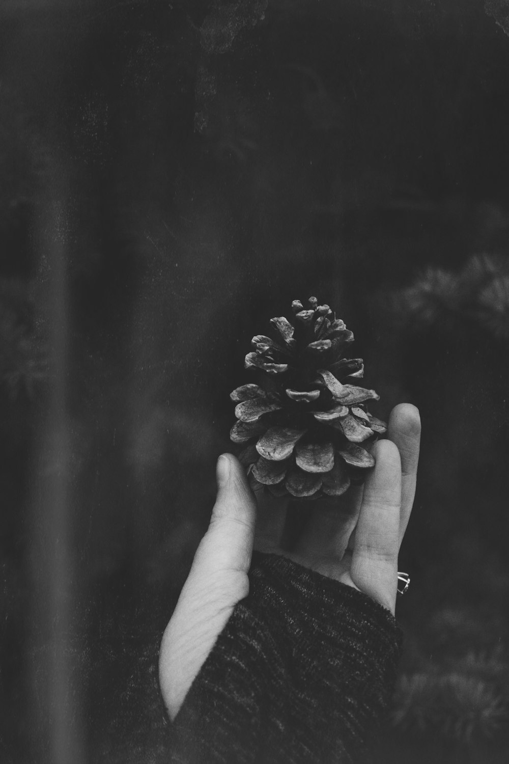 Foto en escala de grises de una bellota en la mano de una persona