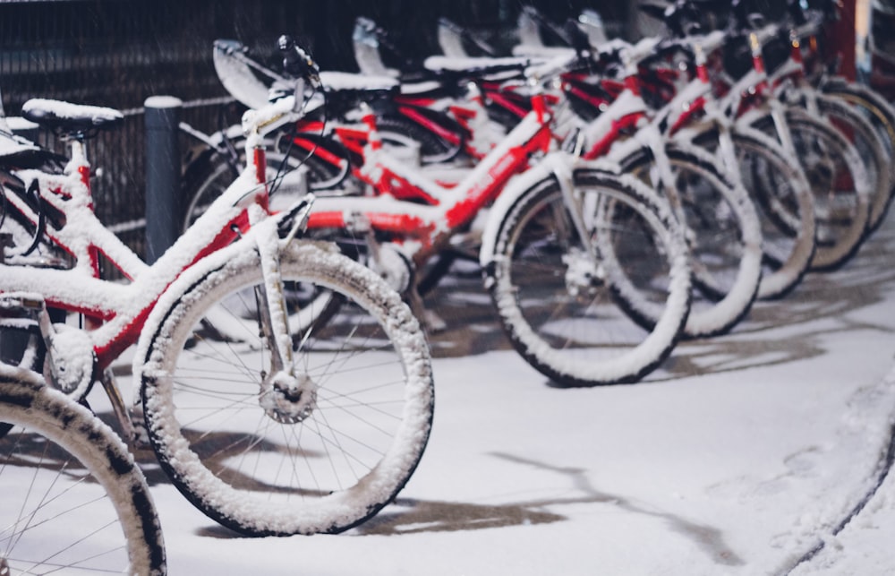 red and black bikes covered with snow