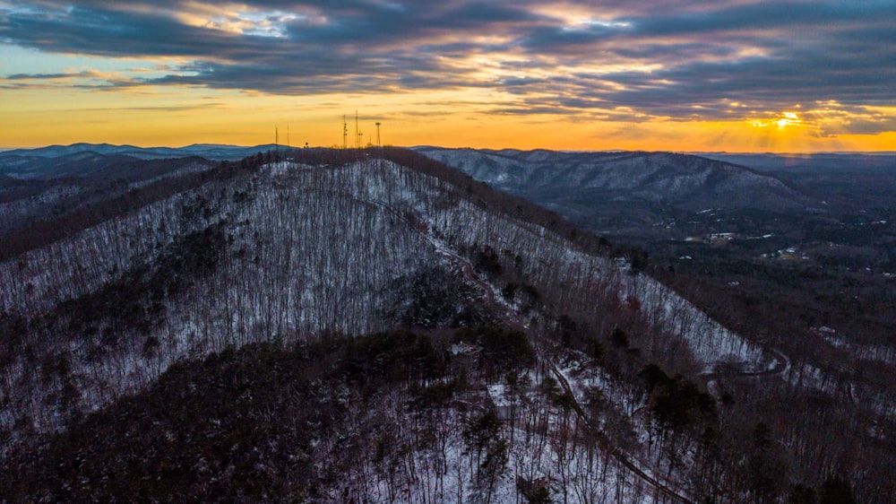 forest on mountain covered by snow in distant of other mountain