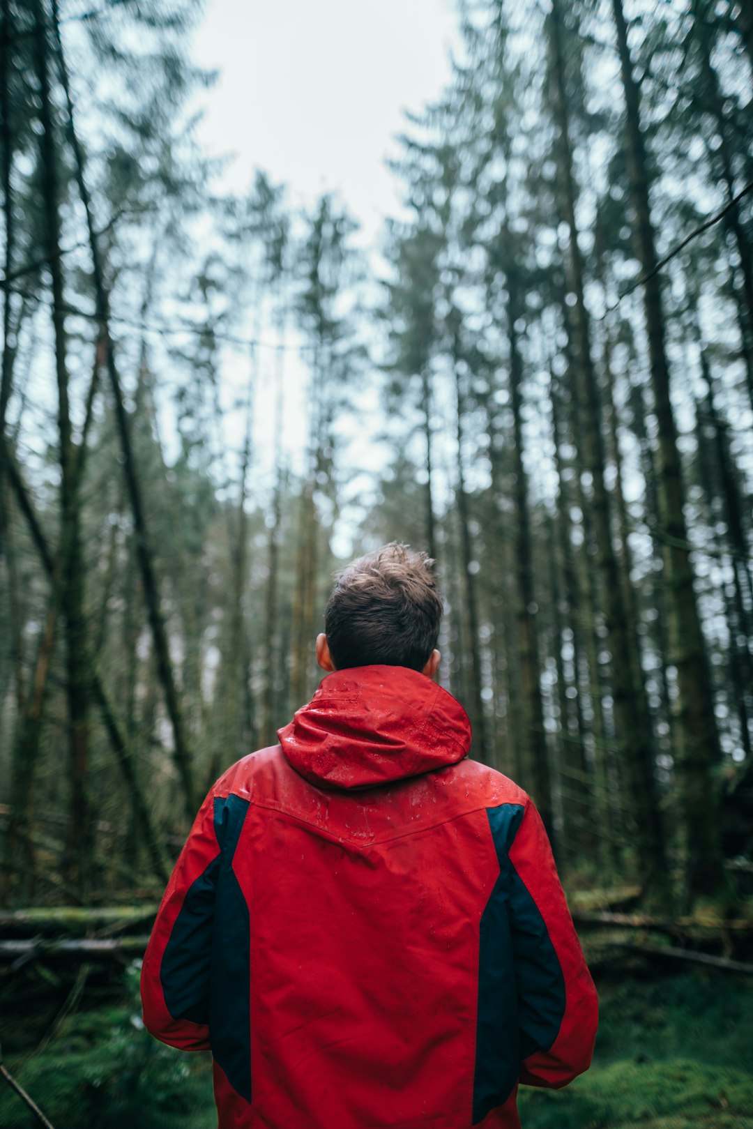 tilt-shift photography of man standing surrounded by trees during daytime