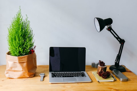 MacBook Pro beside between green potted plant and desk lamp on brown wooden table