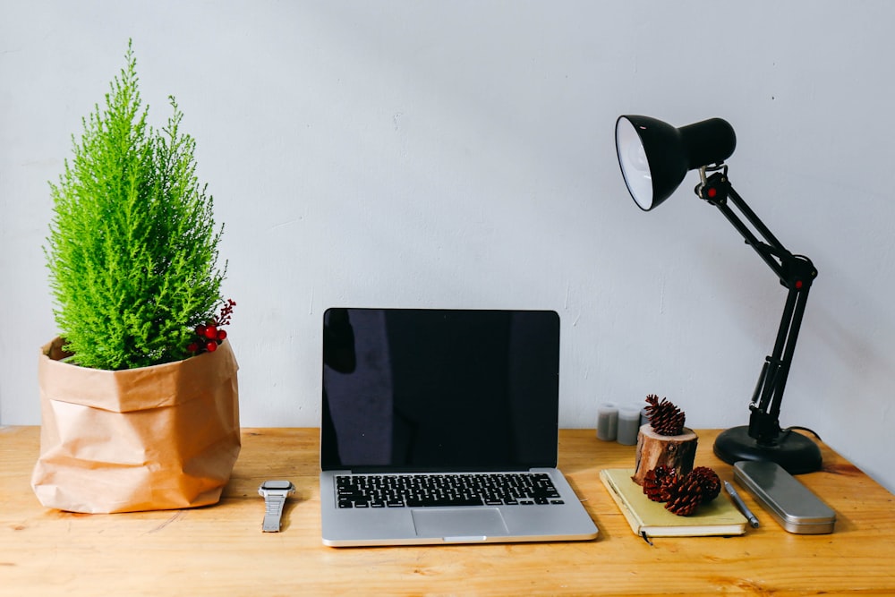 MacBook Pro beside between green potted plant and desk lamp on brown wooden table