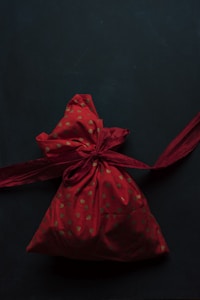 Moonlight Velvet Pouch