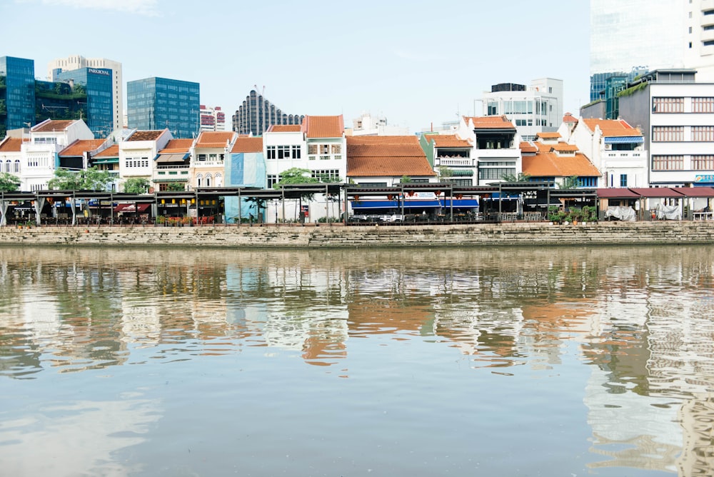 buildings beside river