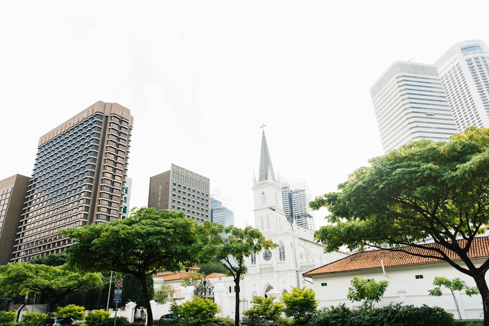 buildings beside green trees