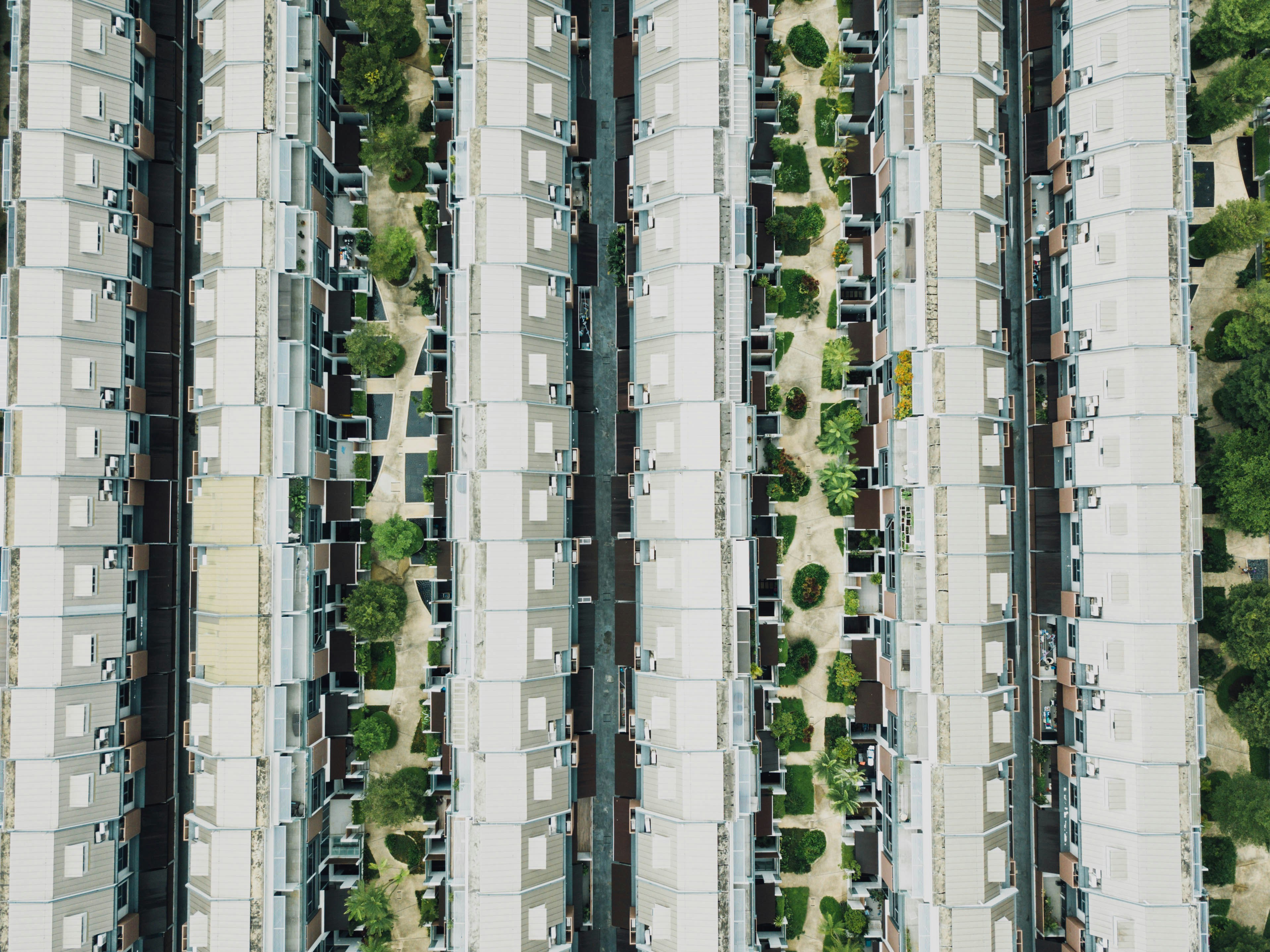 Photo by chuttersnap