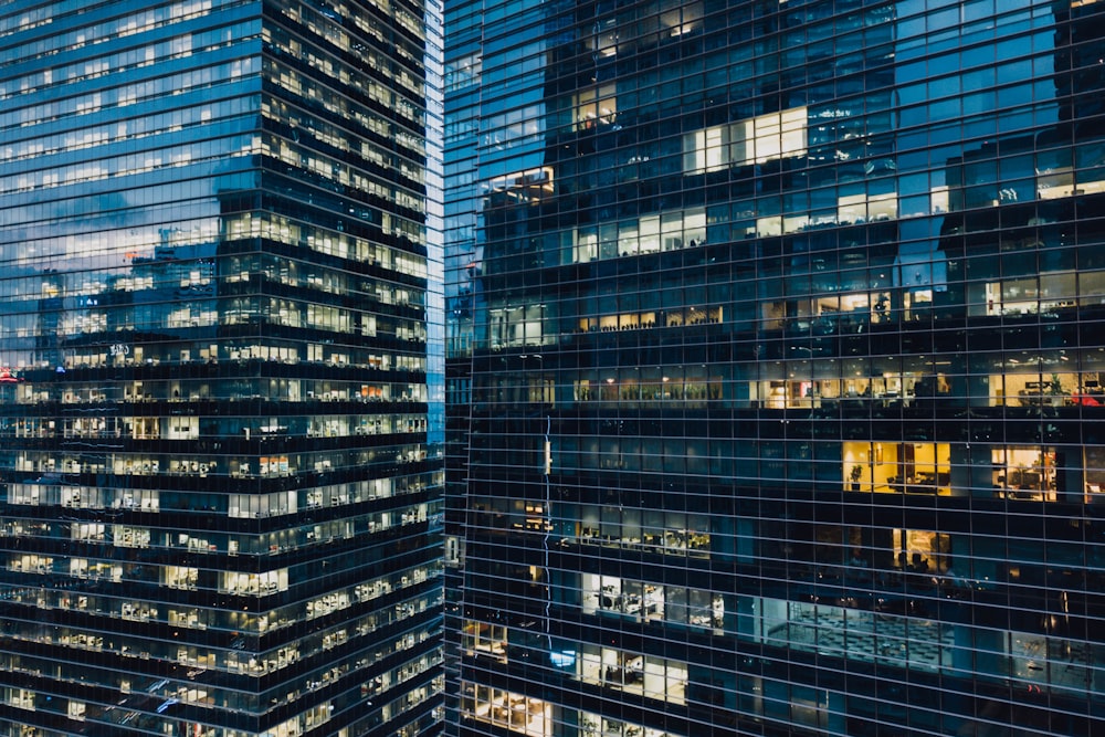 photo of window wall building