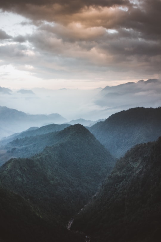 bird's-eye view photography of mountain valley with clouds in Fansipan Vietnam