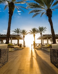 photo of woman and toddler standing near green leaf palm trees under clear blue sky