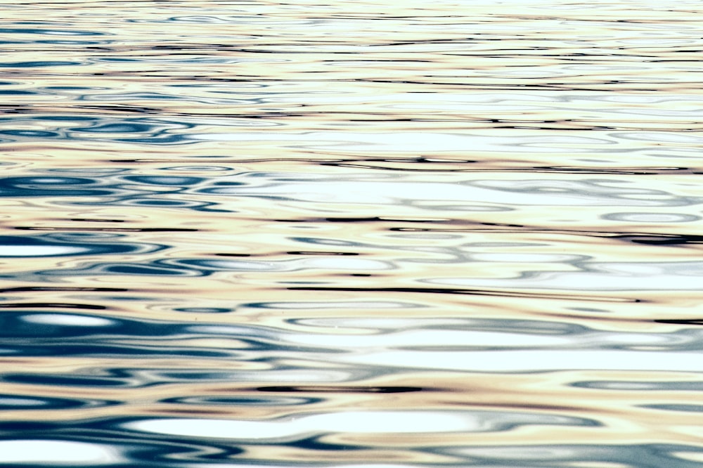 Water Reflections