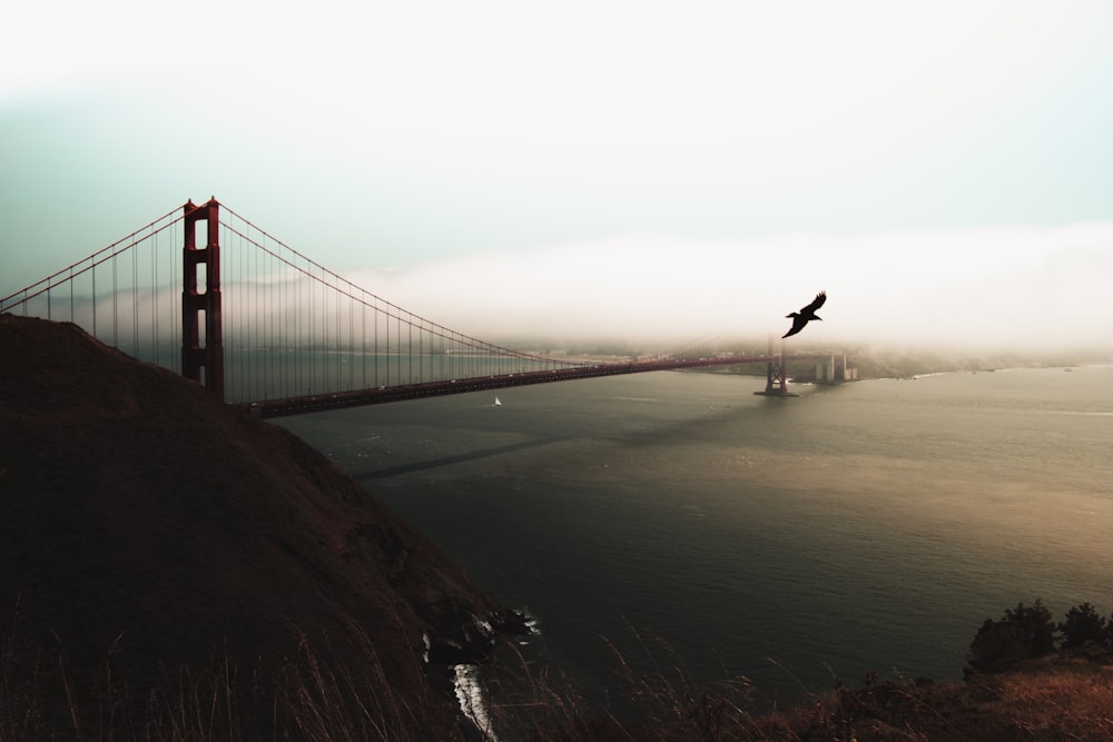 Golden Gate Bridge, San Francisco California