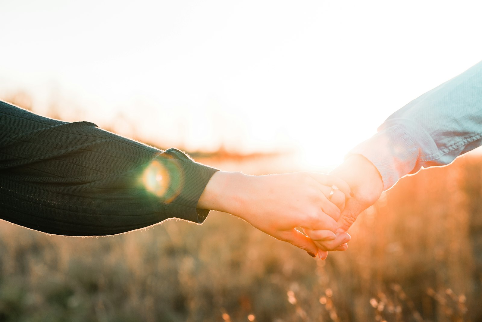 Sony a7S II + Sony FE 24-70mm F2.8 GM sample photo. Two person holding each photography