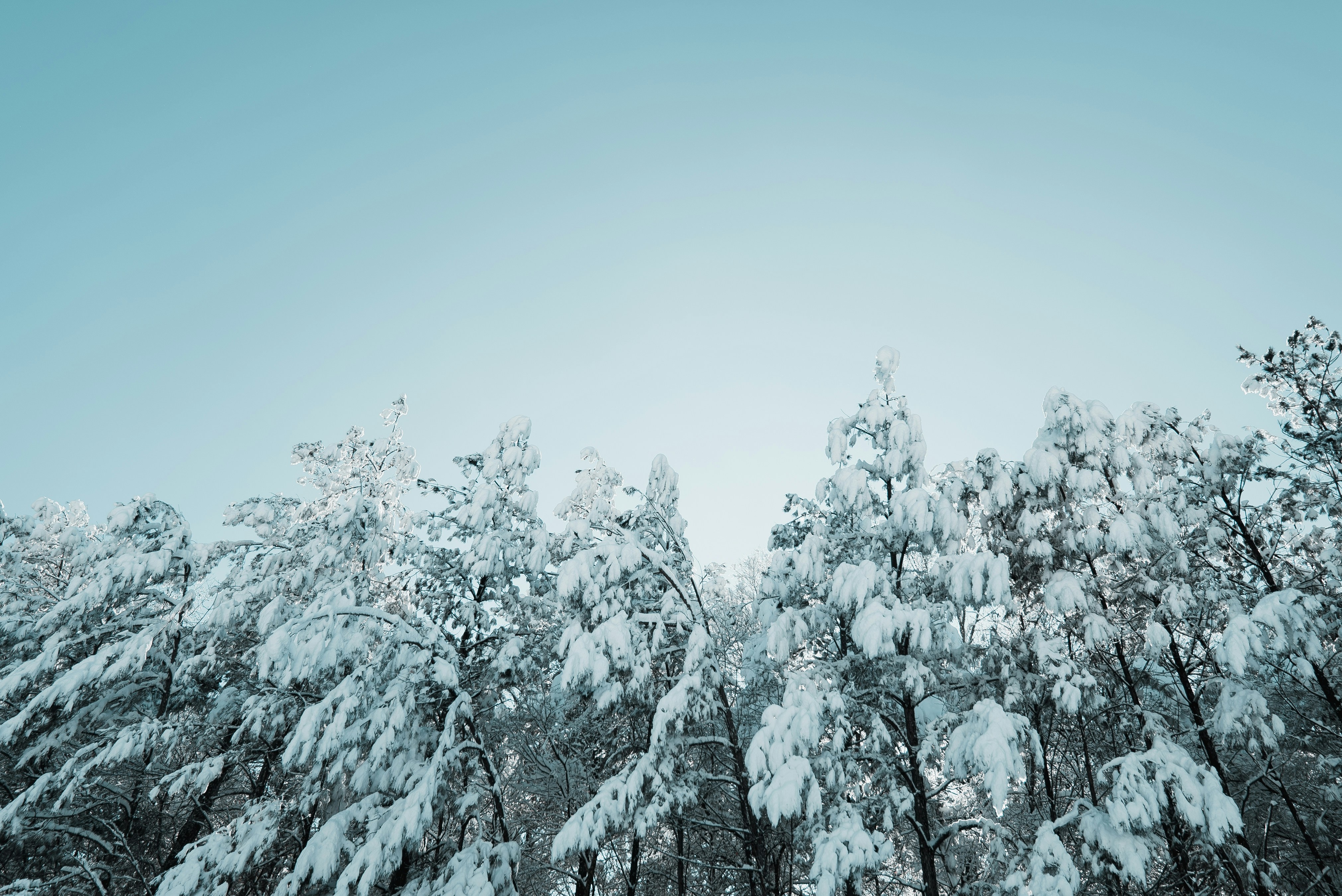 Photo by josephyates_