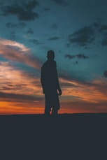 silhouette visionary