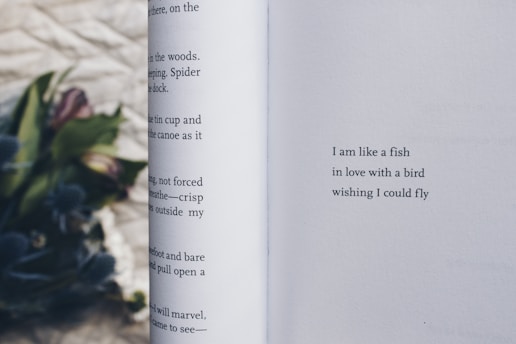 fish in love with bird poem