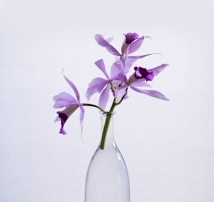 Nourishing Body Lotion