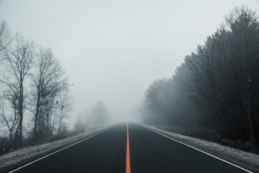 Carretera vacía cubierta de niebla