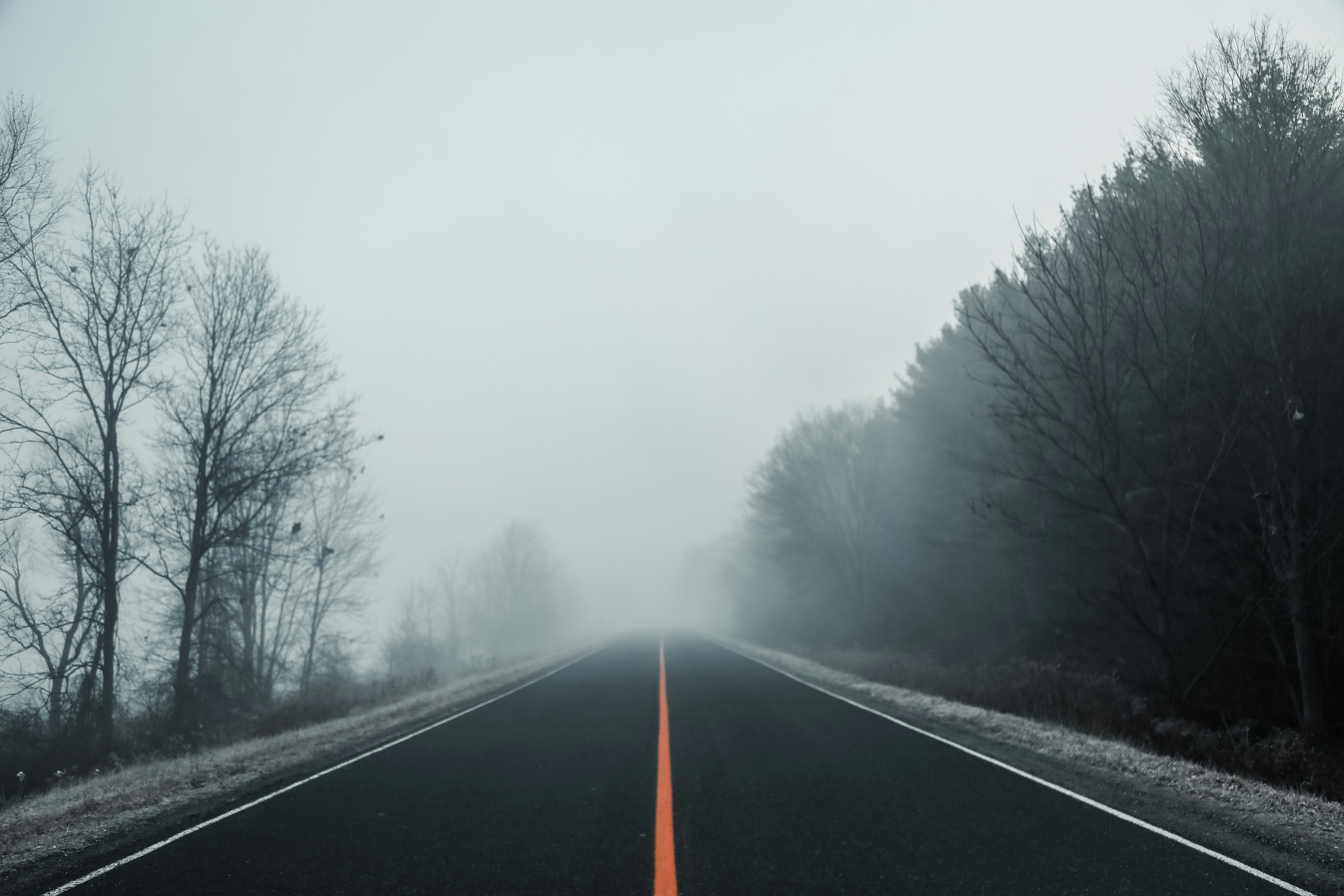 empty road covered with fogs