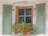 A wooden-framed window with crossbars set in a stone wall, flanked by two sage green shutters. Below the window, a planter box is filled with vibrant red flowers and green foliage.