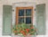 A wooden-framed window with crossbars set in a stone wall, flanked by two sage green shutters. Below the window, a planter box is filled with vibrant red flowers and green foliage.