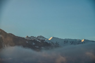A serene Colorado montane forest with layered foothills under a soft, warm light.