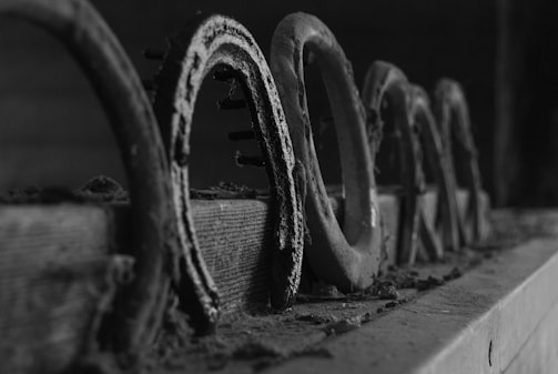 Several weathered horseshoes are attached to a wooden beam in a row, with dust and cobwebs accentuating their aged appearance. The setting is dimly lit, emphasizing the textures and wear on the metal and wood.