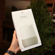 A hand is holding a boxed product labeled 'Home' with the Google logo, indicating it's a voice-activated speaker by Google. The background includes a partially visible tree and a room setting with a fireplace.
