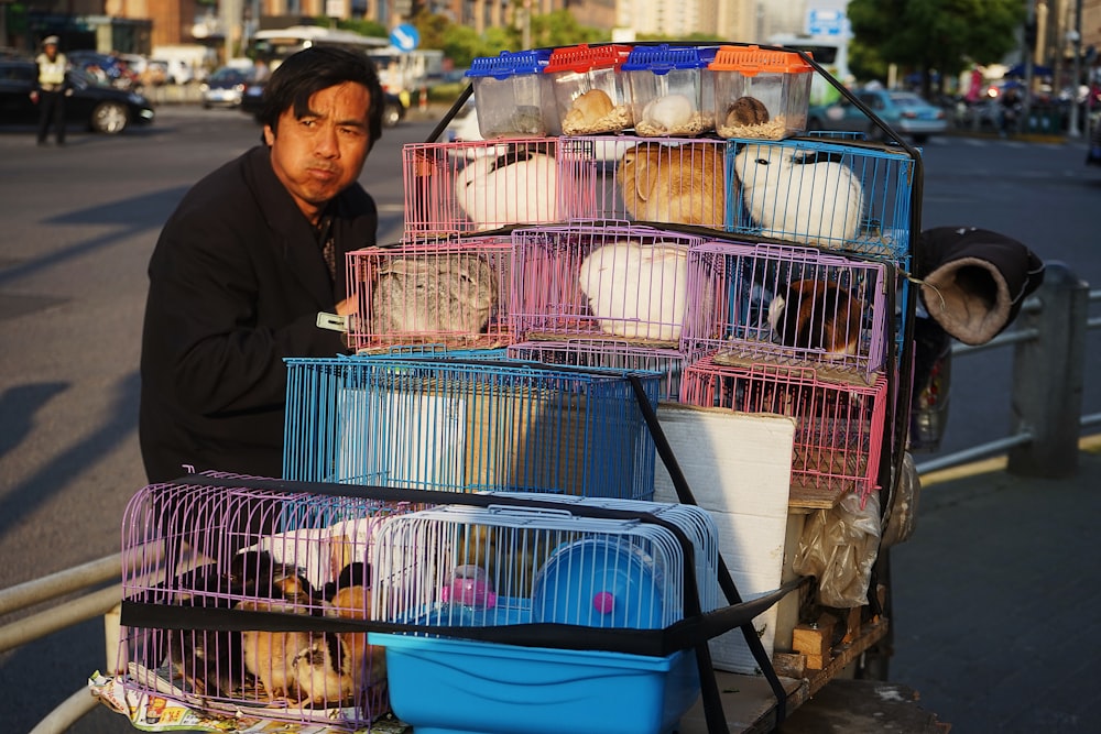 man in black jacket stands beside assorted-color rabbit lot