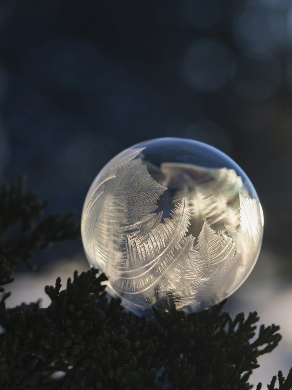 closeup photography of glass ball