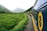 A scenic train journey along a winding track through lush green landscape with mountains in the background. The train is painted blue and yellow, with the Alaska Railroad Corporation logo prominently displayed.
