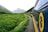 A scenic train journey along a winding track through lush green landscape with mountains in the background. The train is painted blue and yellow, with the Alaska Railroad Corporation logo prominently displayed.