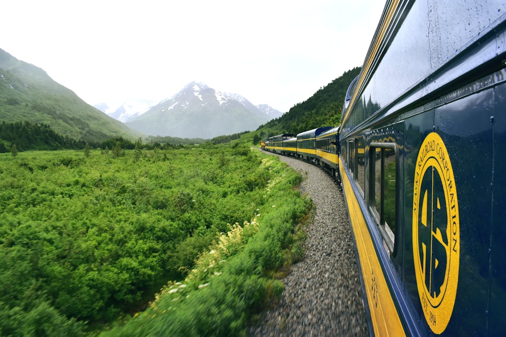 train near mountains