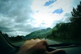 A scenic view of a car driving through a lush green landscape with trees and mountains.