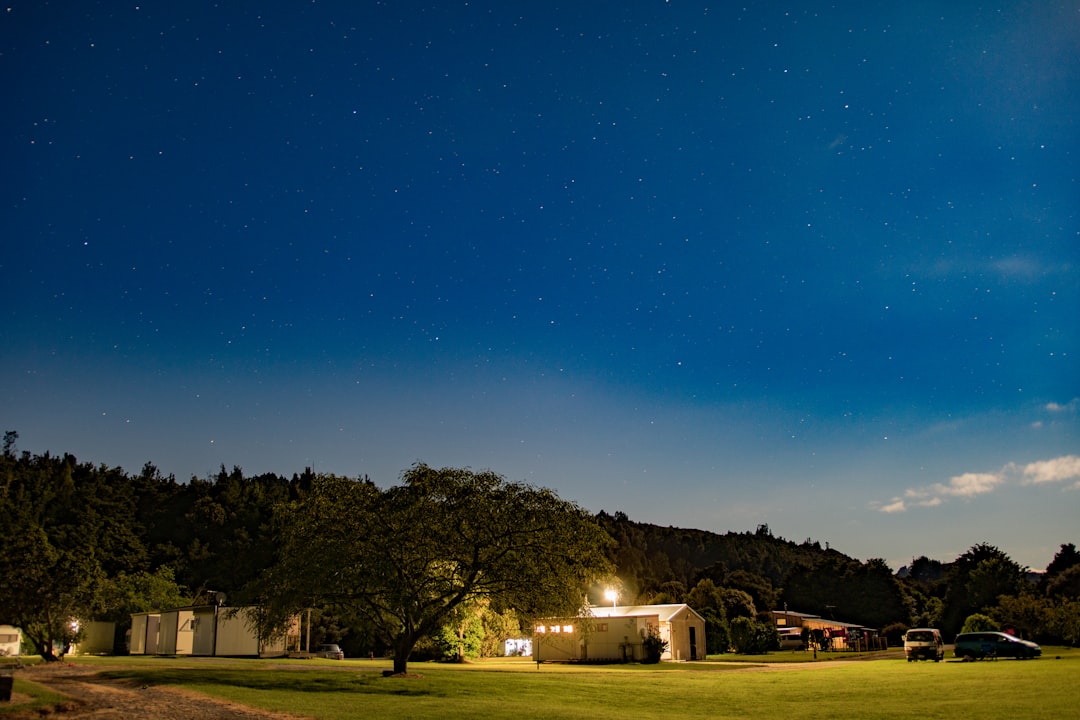 green grass field with trees under blue sky during night time