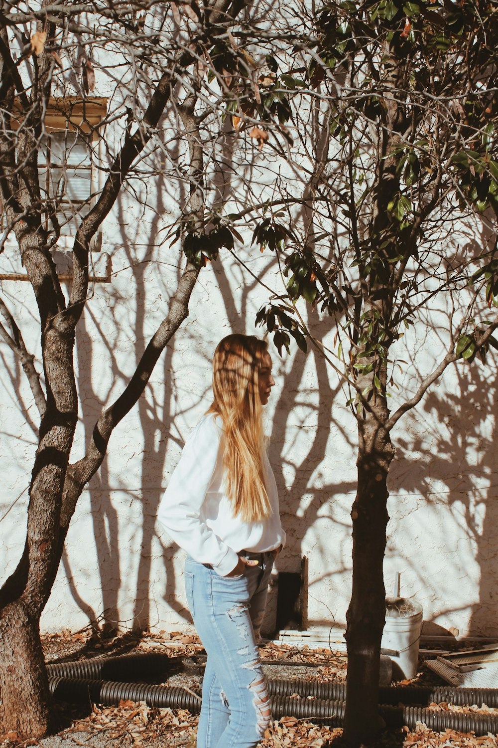 woman standing beside bare tree