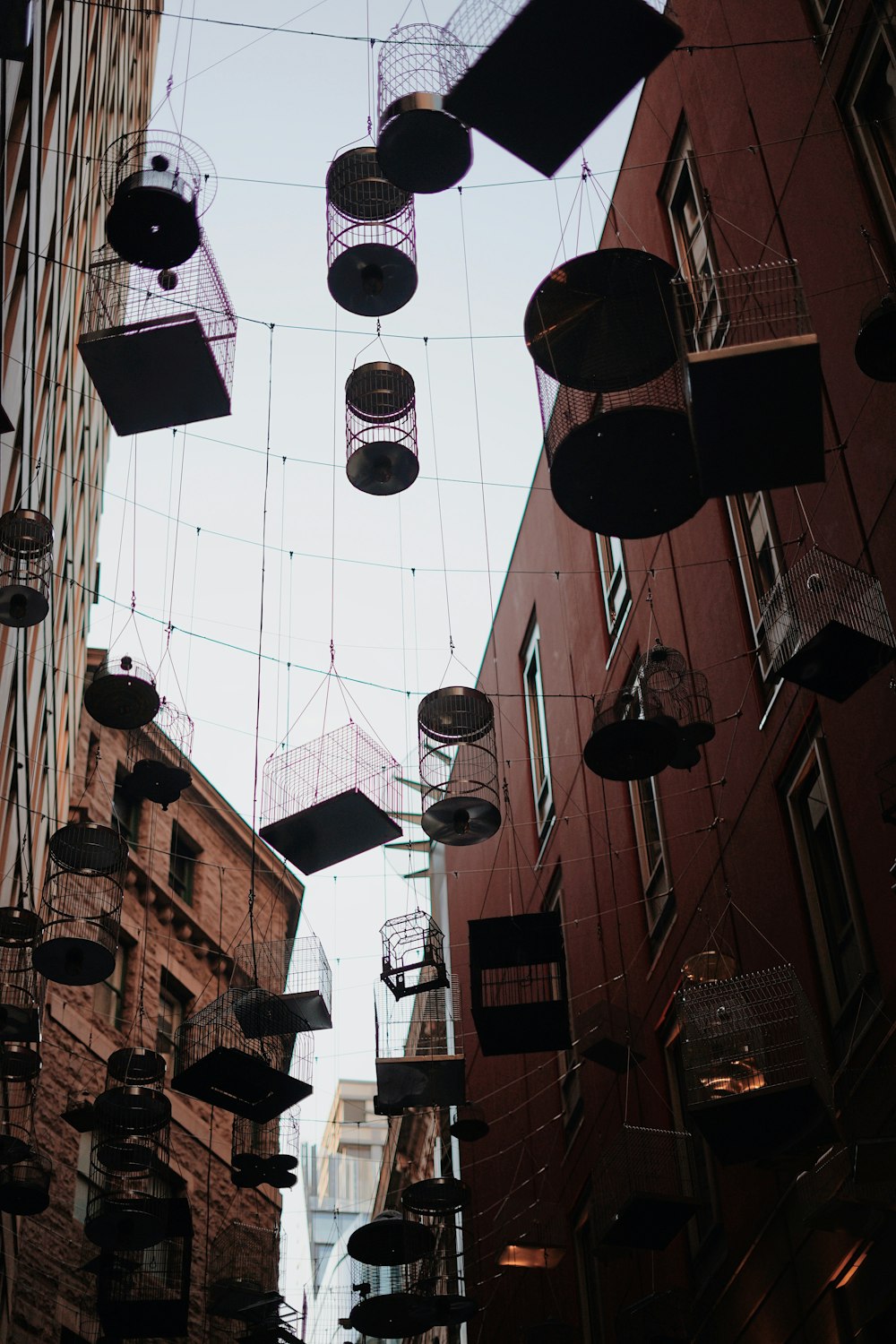 silhouette photo of metal birdcages hanged on cables between buildings