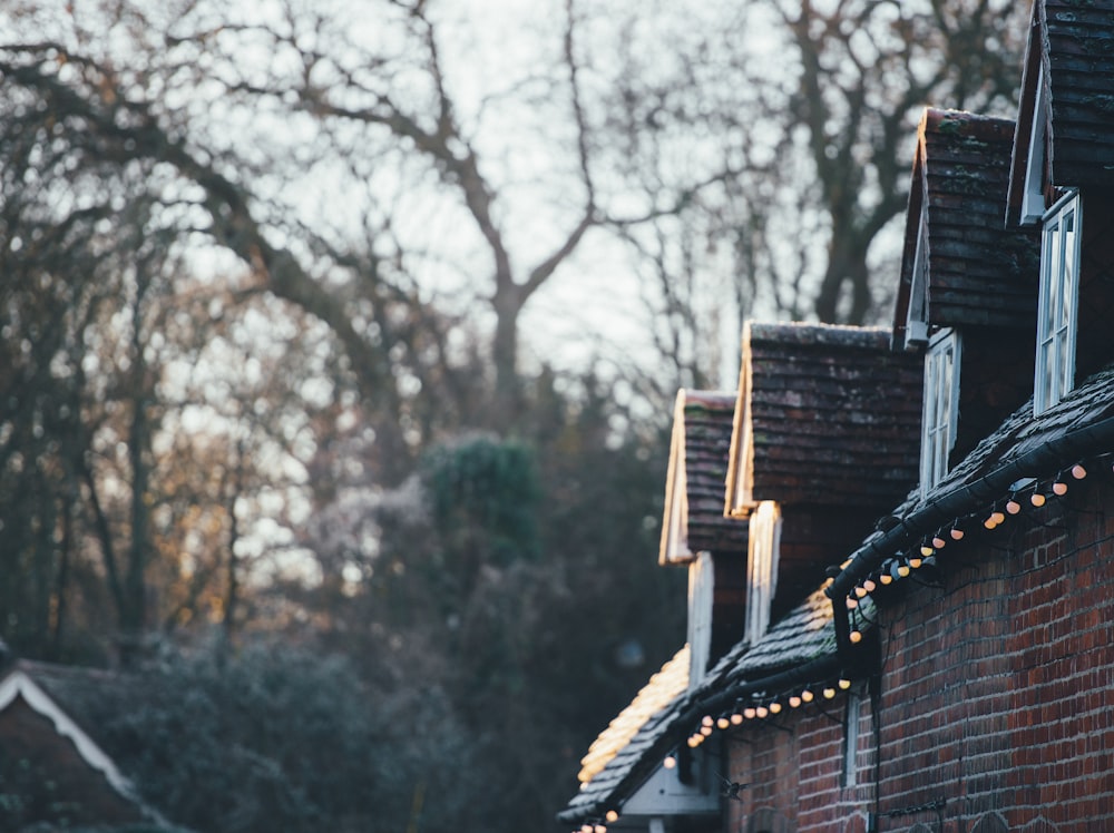 Maison entourée d’arbres dans un foyer peu profond