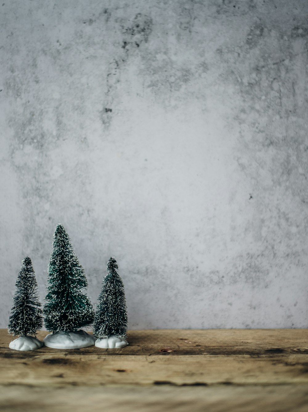 three green pine tree miniature near gray concrete wall