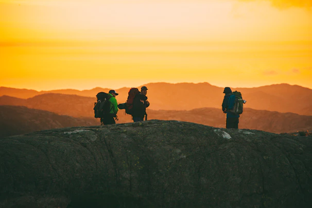 A group of hikers silhouetted against a deep charcoal sky with forest green accents.