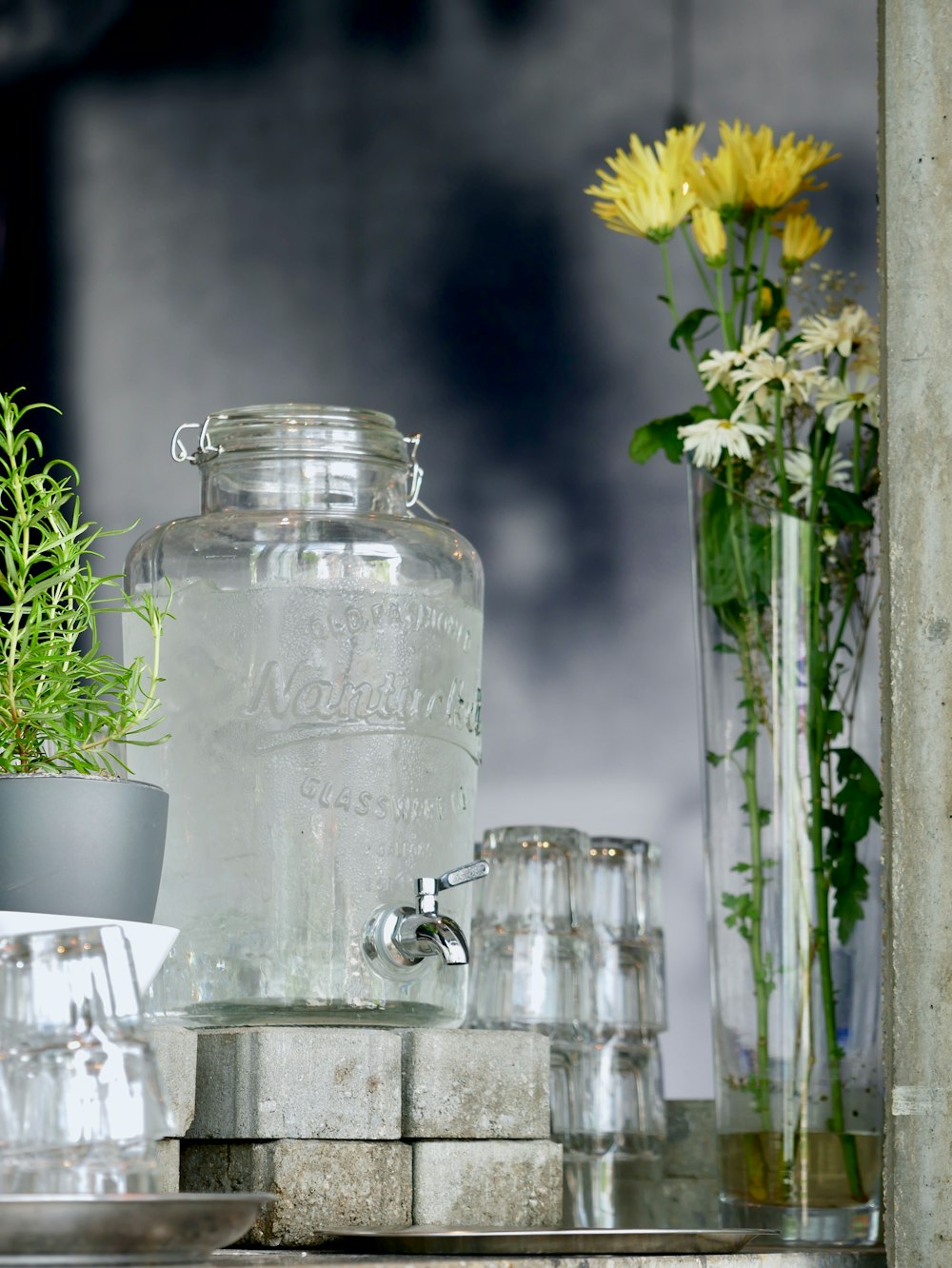 Dispensador de bebidas de vidrio transparente al lado de una planta de hojas verdes