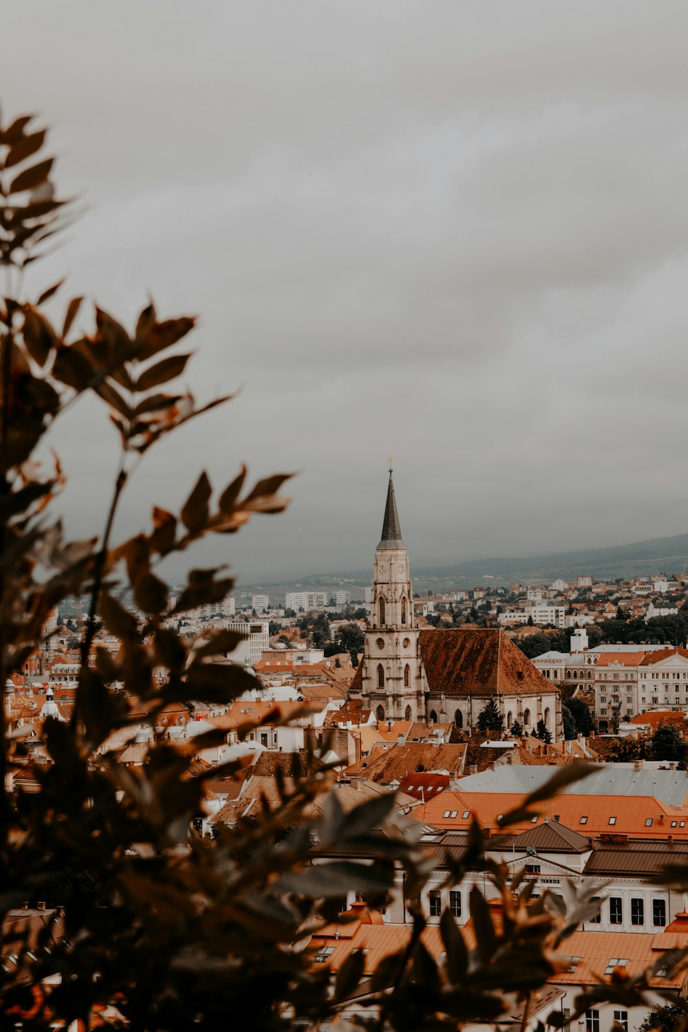 green tree near white-and-brown village buildings with cathedral under white cloudy skies