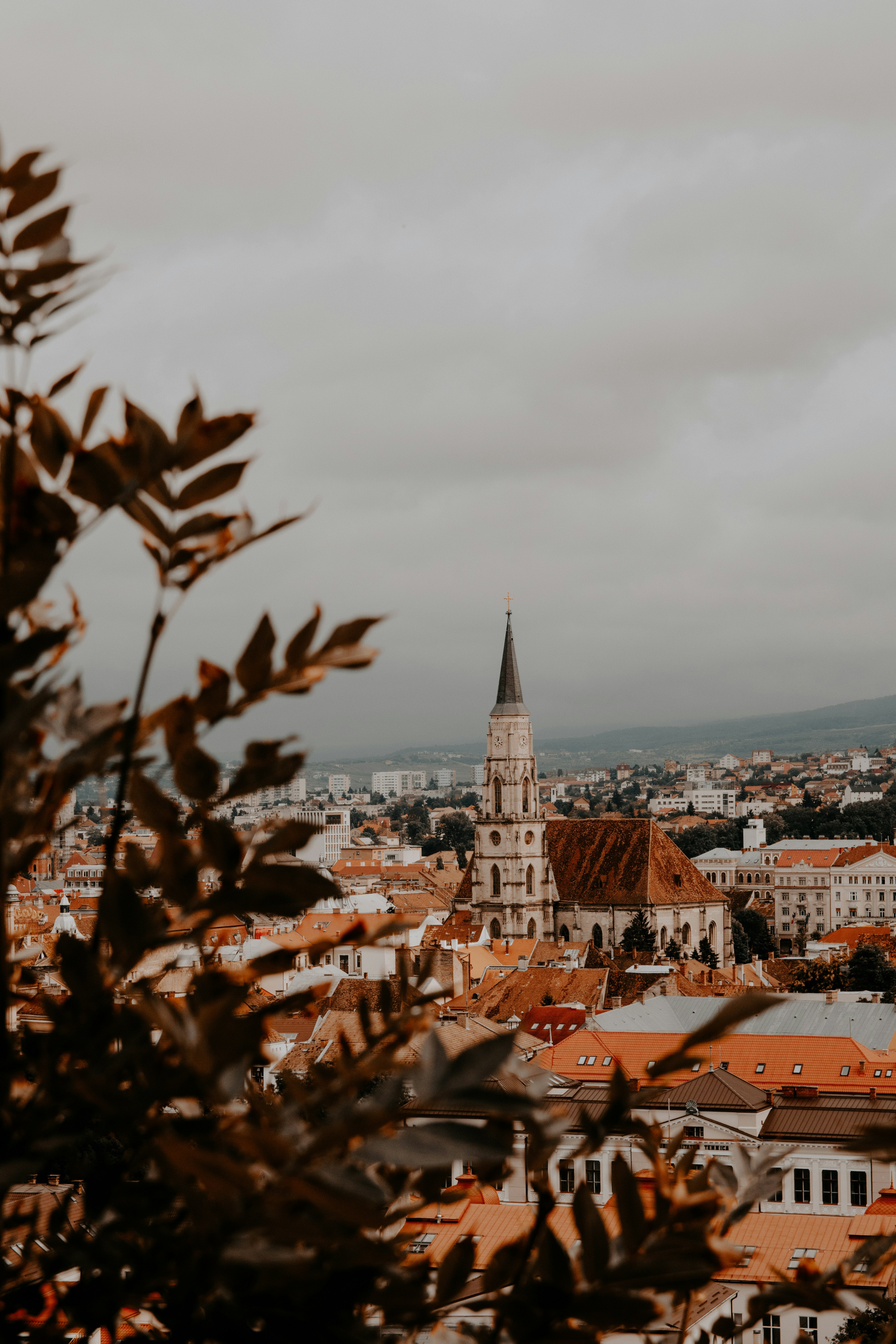 green tree near white-and-brown village buildings with cathedral under white cloudy skies