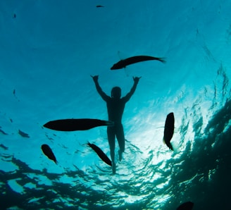 A silhouette of a person floats underwater surrounded by several fish. The light from the surface creates a shimmering effect on the clear blue water.