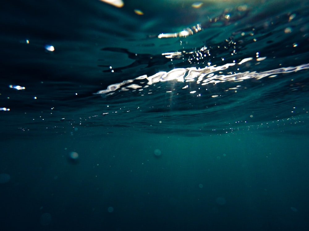 closeup photo of green water formation