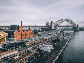 aerial photography of concrete buildings and bridge beside ocean under cloudy sky