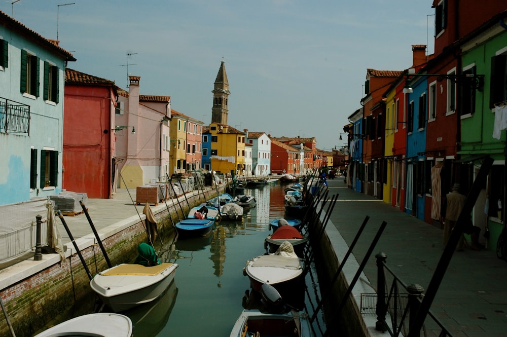 river surrounded with assorted-color houses