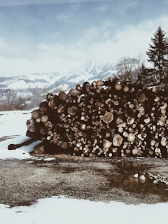 A large stack of cut logs is piled on a snowy ground. In the background, snow-covered mountains and leafless trees are visible under a cloudy sky. The scene conveys a rustic and natural environment.